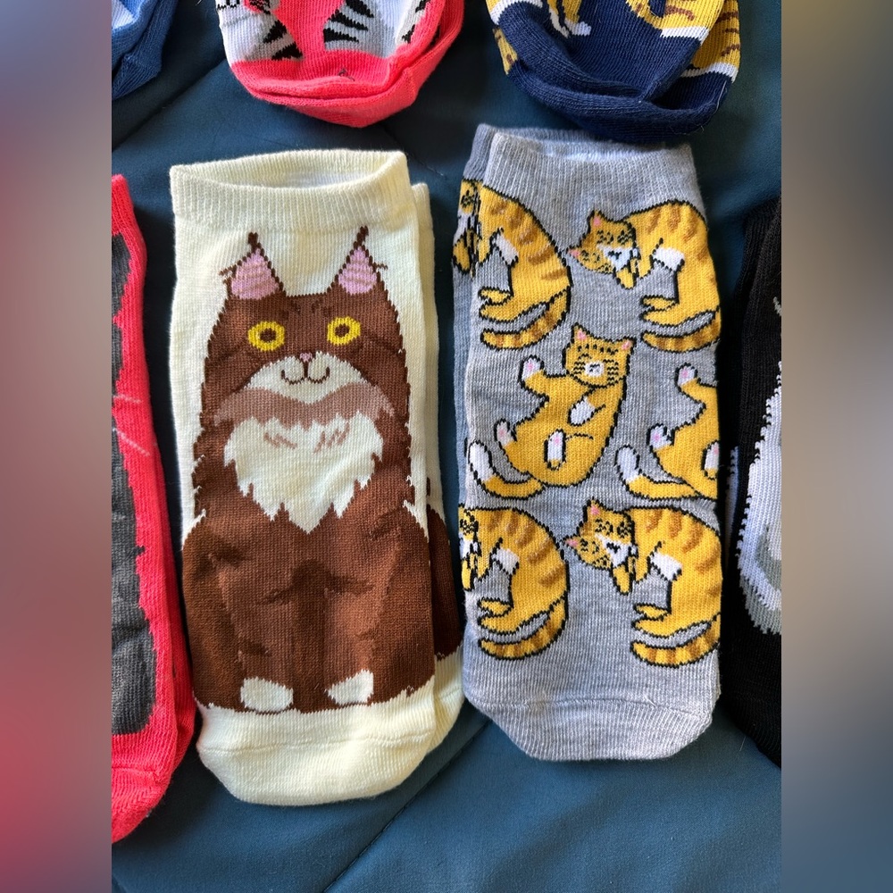 Cat Socks (12 pairs)